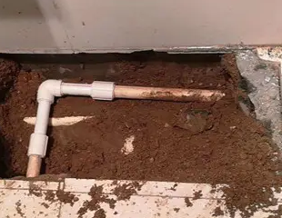 管城测漏水哪家好